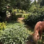 Comme Parenthese Au Coeur Des Hortillonnages