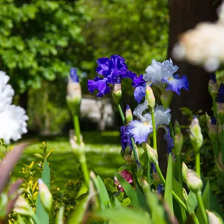 Comme Parenthèse Au Coeur Des Hortillonnages 4* Amiens