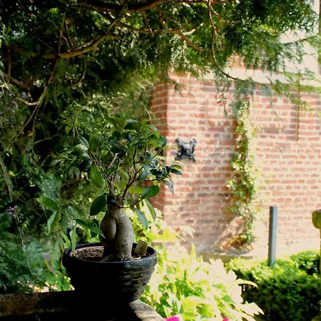 Comme Parenthese Au Coeur Des Hortillonnages Pensjonat