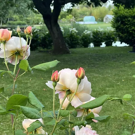 Pensjonat Comme Parenthese Au Coeur Des Hortillonnages Amiens