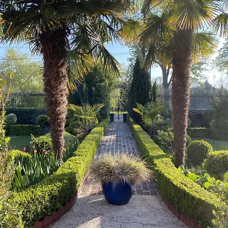 Comme Parenthèse Au Coeur Des Hortillonnages Maison d'hôtes