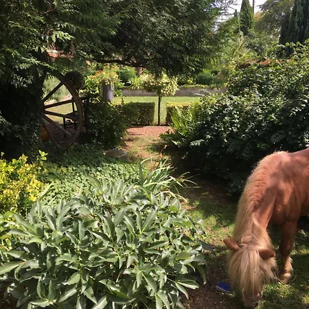 Comme Parenthèse Au Coeur Des Hortillonnages