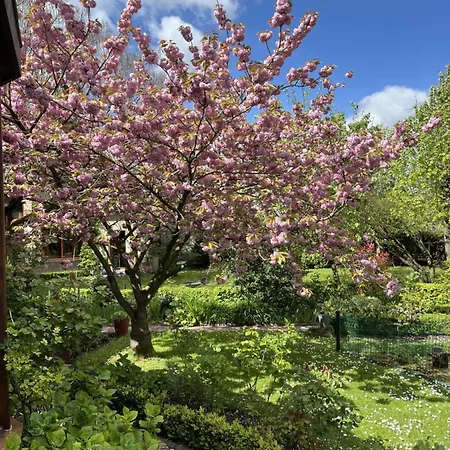 Comme Parenthese Au Coeur Des Hortillonnages Amiens