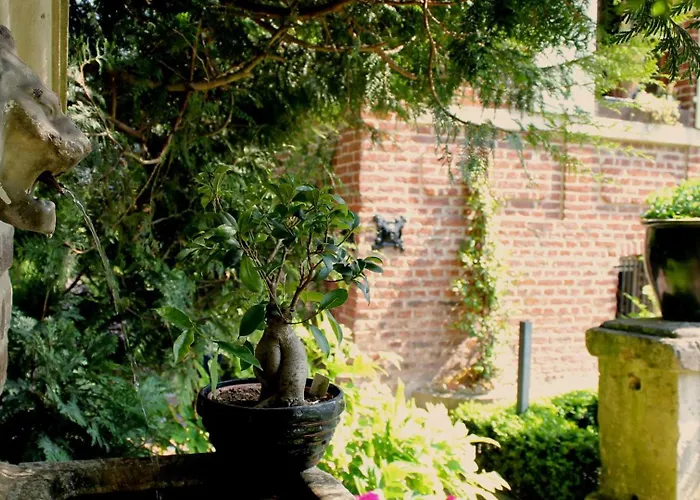 Comme Parenthese Au Coeur Des Hortillonnages Гостевой дом