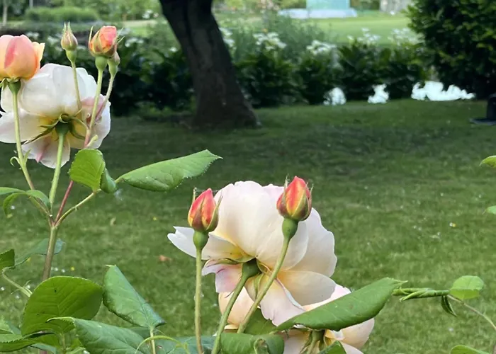 Гостевой дом Comme Parenthese Au Coeur Des Hortillonnages Амьен