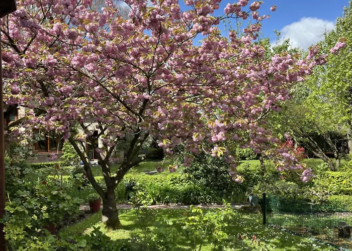Comme Parenthèse Au Coeur Des Hortillonnages Amiens